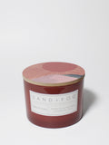 Scented Sun-n-Fun 12 oz scented candle