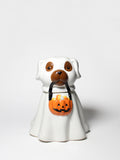 Scented Sand + Paws Jack-o'-Lantern 11 oz scented candle